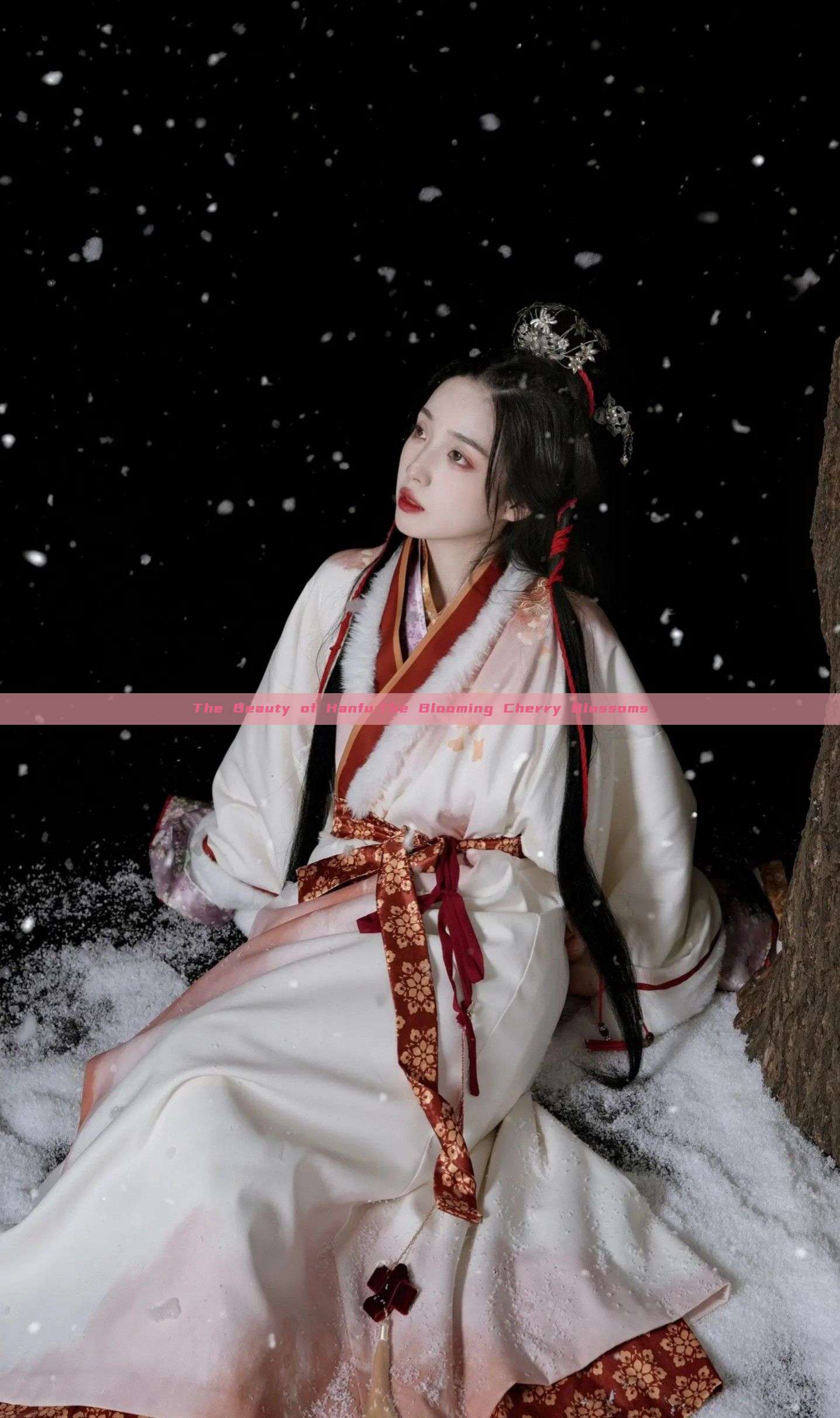 The Beauty of Hanfu:The Blooming Cherry Blossoms