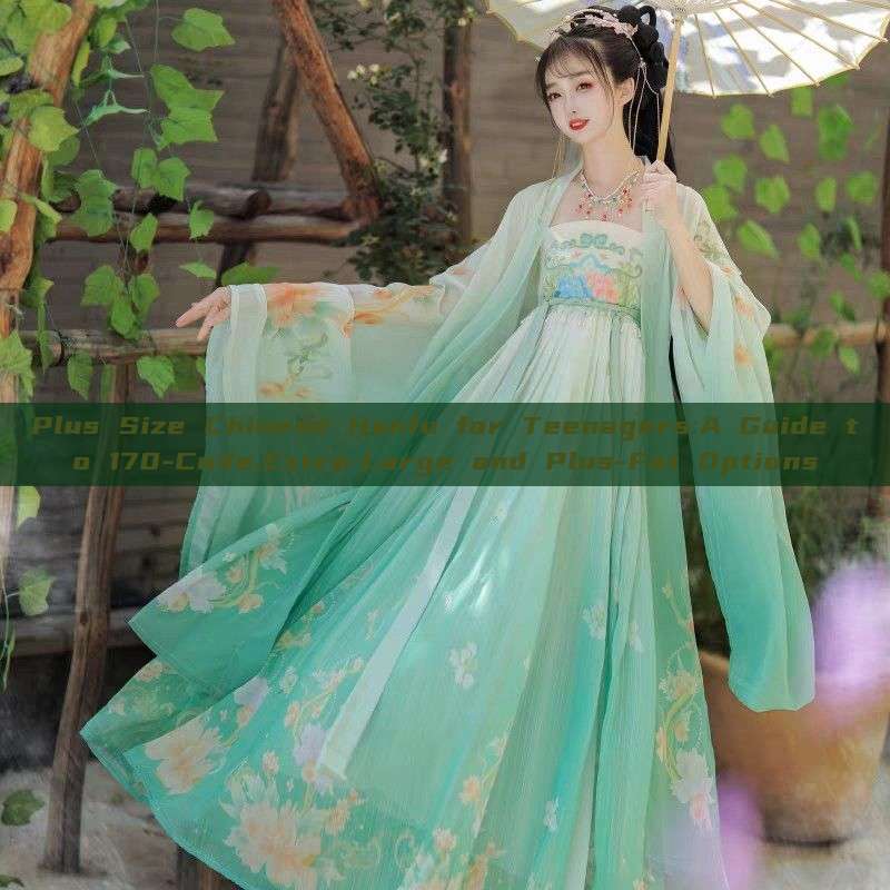 Plus Size Chinese Hanfu for Teenagers:A Guide to 170-Code,Extra-Large and Plus-Fat Options Plus Size Chinese Hanfu for Teenagers:A Guide to 170-Code,Extra-Large and Plus-Fat Options