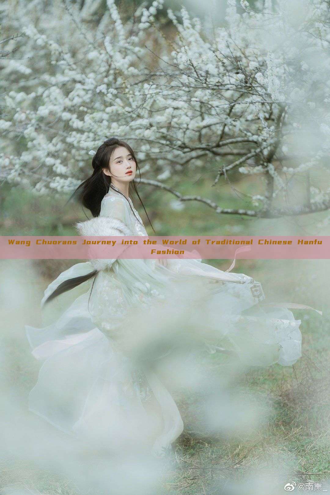 Wang Chuorans Journey into the World of Traditional Chinese Hanfu Fashion