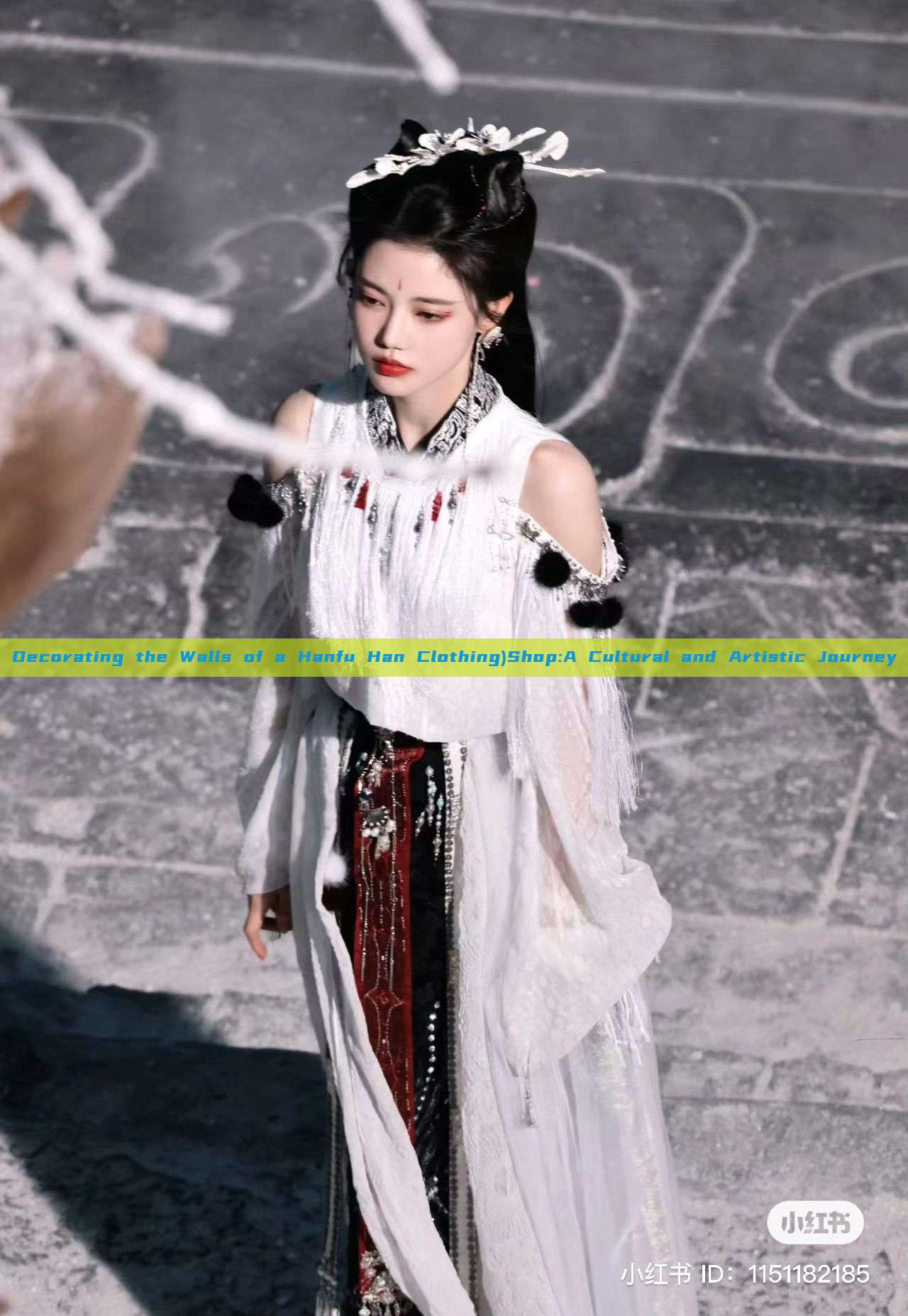 Decorating the Walls of a Hanfu Han Clothing)Shop:A Cultural and Artistic Journey Decorating the Walls of a Hanfu Han Clothing)Shop:A Cultural and Artistic Journey