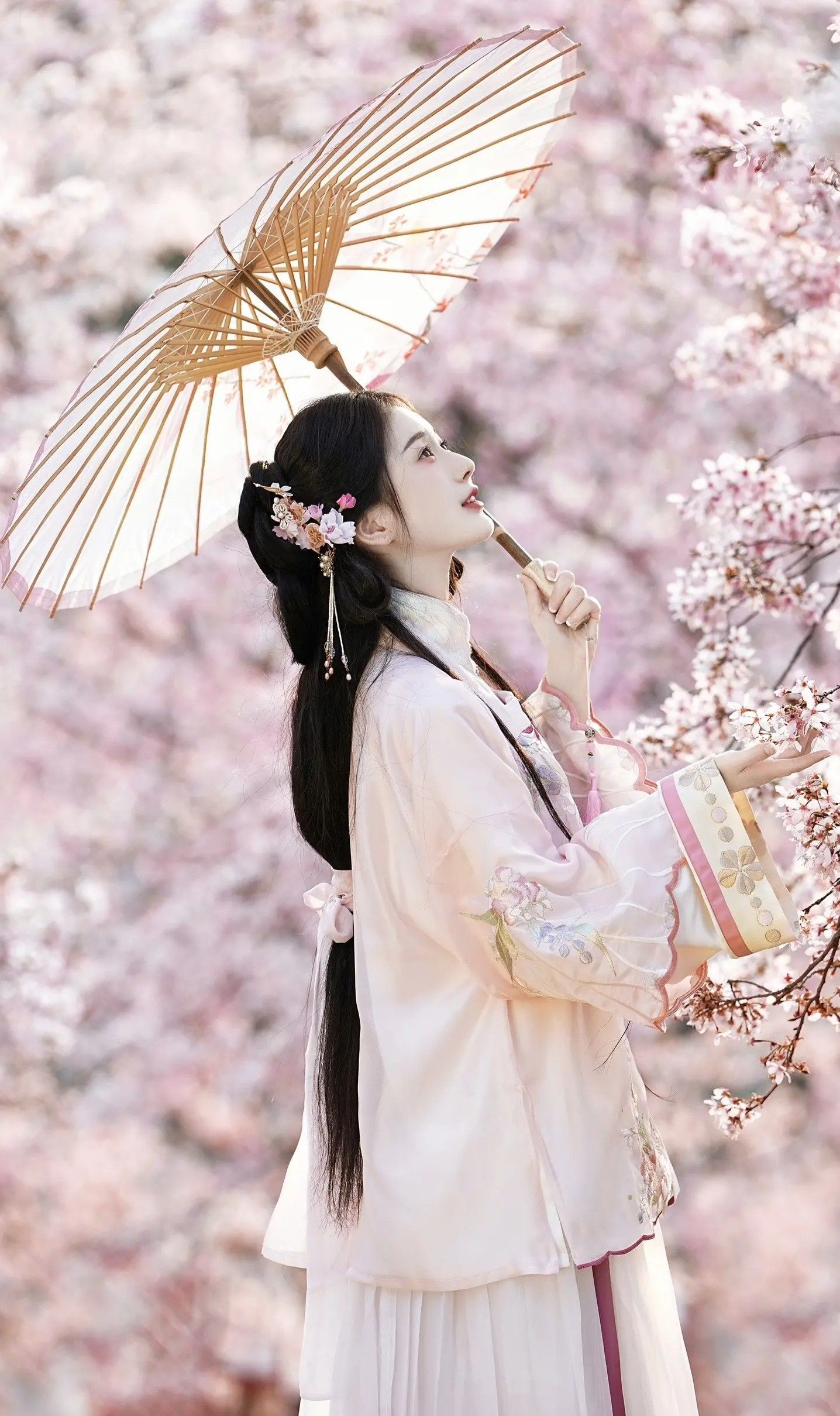The Revival of Hanfu Culture in Maobei:Preserving Ancient Tradition Through Modern Fashion