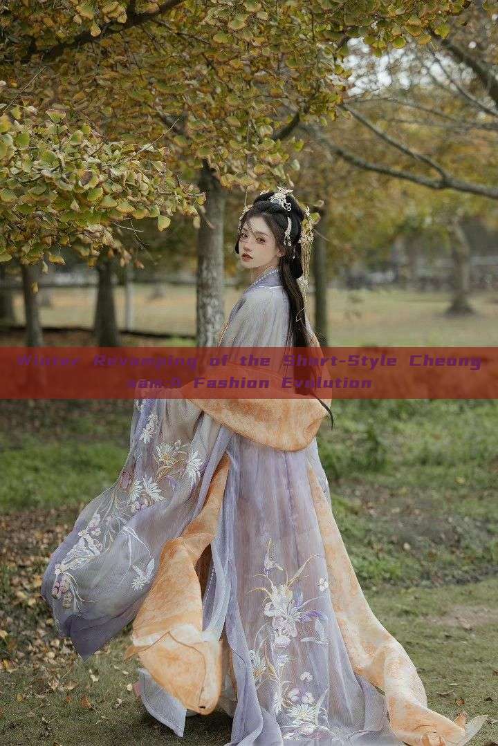 Winter Revamping of the Short-Style Cheongsam:A Fashion Evolution Winter Revamping of the Short-Style Cheongsam:A Fashion Evolution