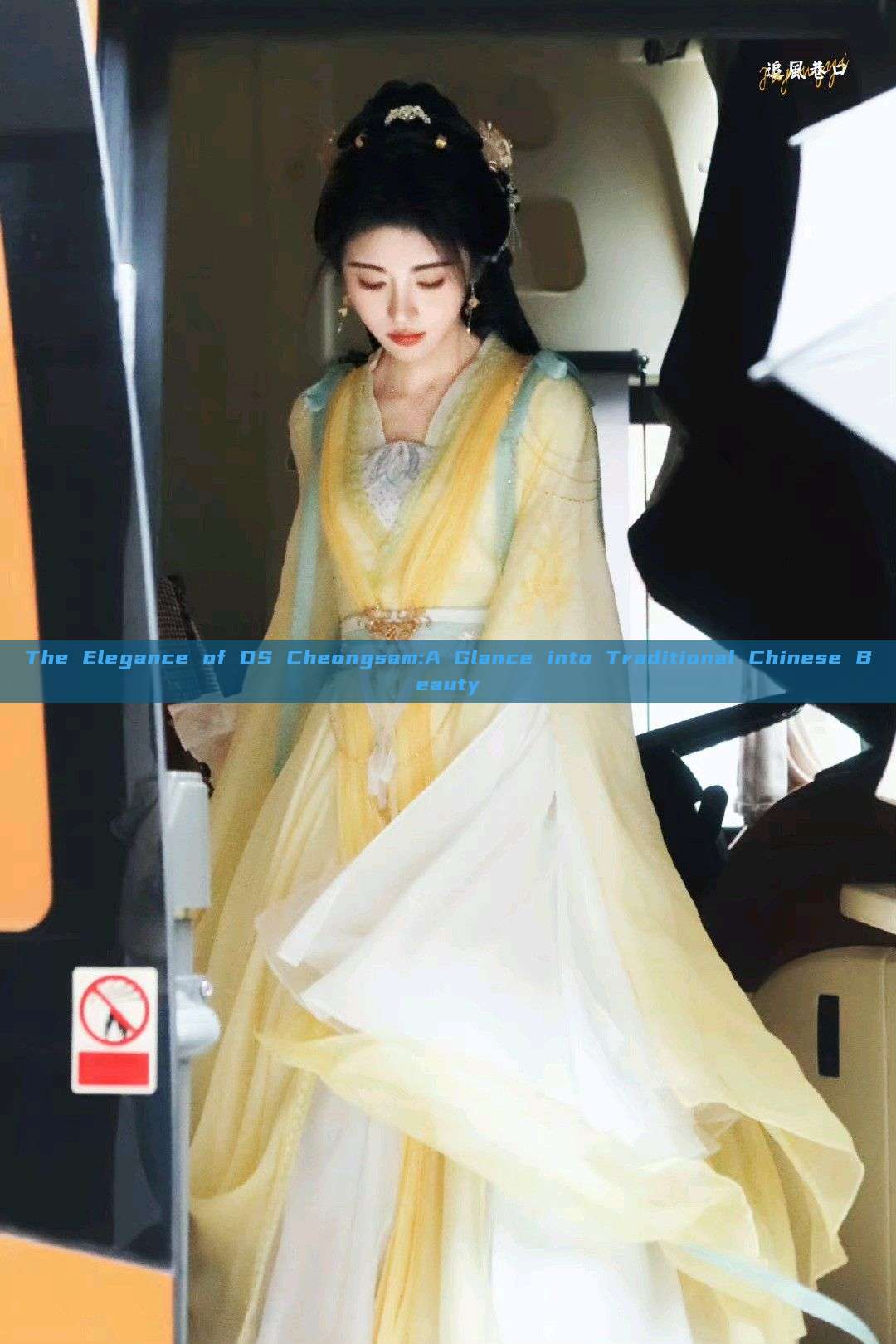 The Elegance of DS Cheongsam:A Glance into Traditional Chinese Beauty The Elegance of DS Cheongsam:A Glance into Traditional Chinese Beauty