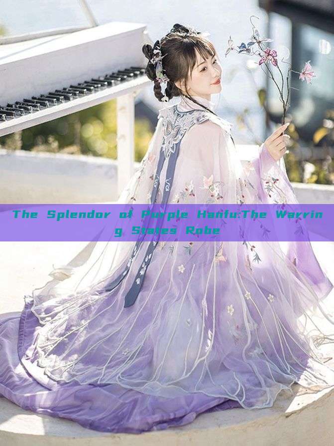 The Splendor of Purple Hanfu:The Warring States Robe The Splendor of Purple Hanfu:The Warring States Robe