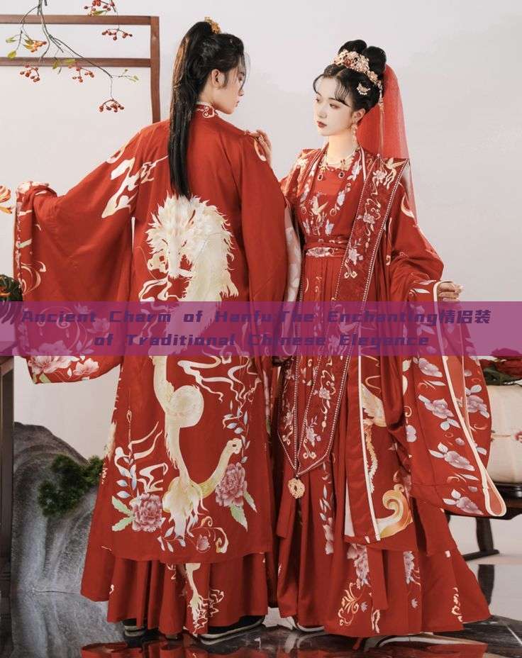 Ancient Charm of Hanfu:The Enchanting情侣装 of Traditional Chinese Elegance