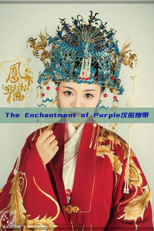 The Enchantment of Purple汉服腰带 The Enchantment of Purple汉服腰带