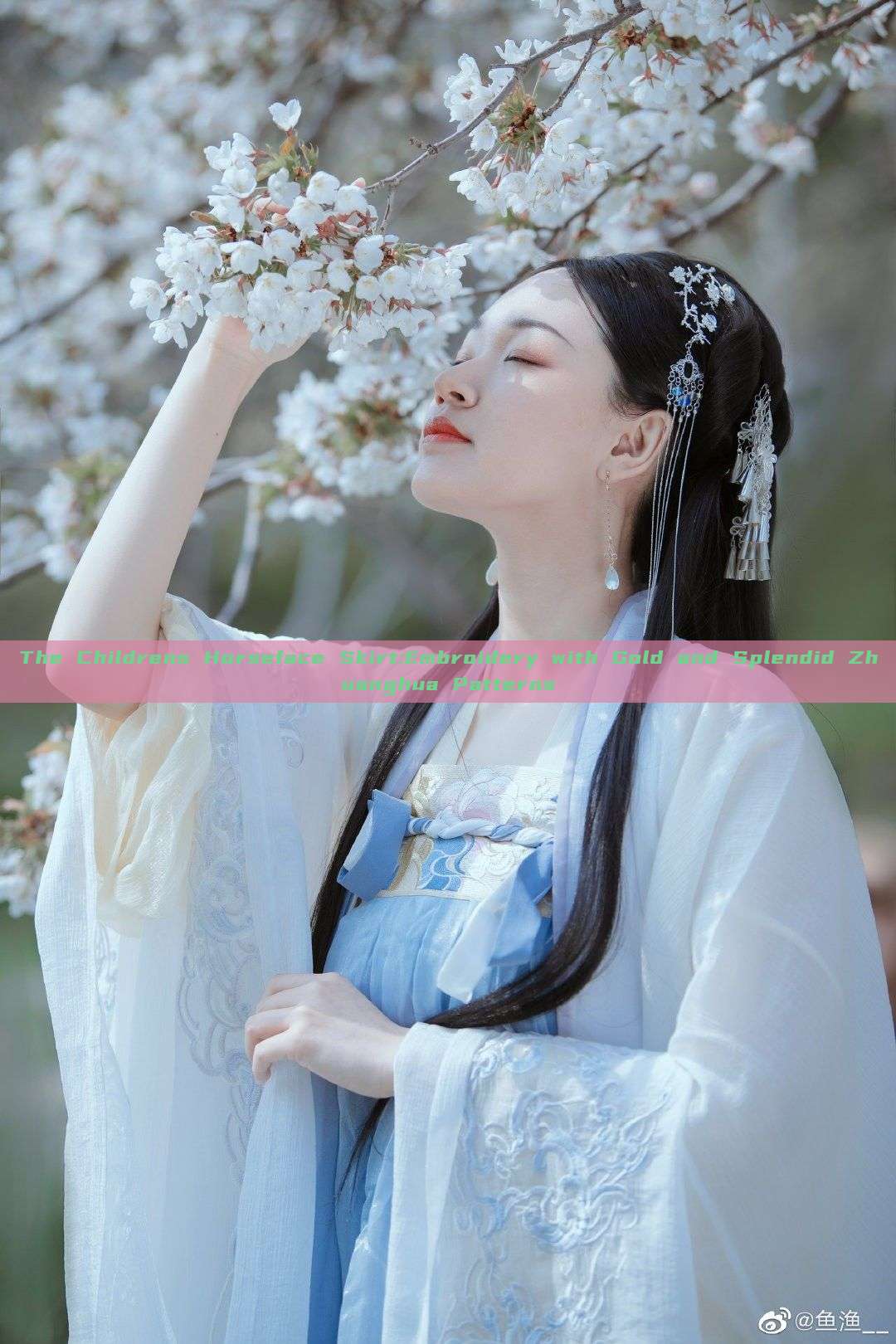 The Childrens Horseface Skirt:Embroidery with Gold and Splendid Zhuanghua Patterns The Childrens Horseface Skirt:Embroidery with Gold and Splendid Zhuanghua Patterns
