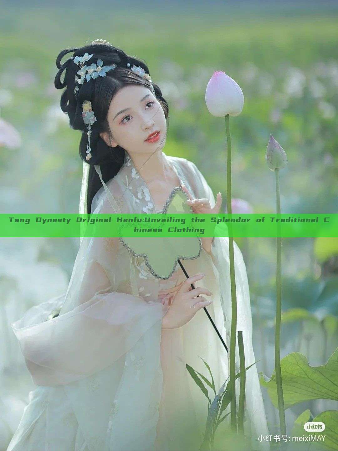 Tang Dynasty Original Hanfu:Unveiling the Splendor of Traditional Chinese Clothing