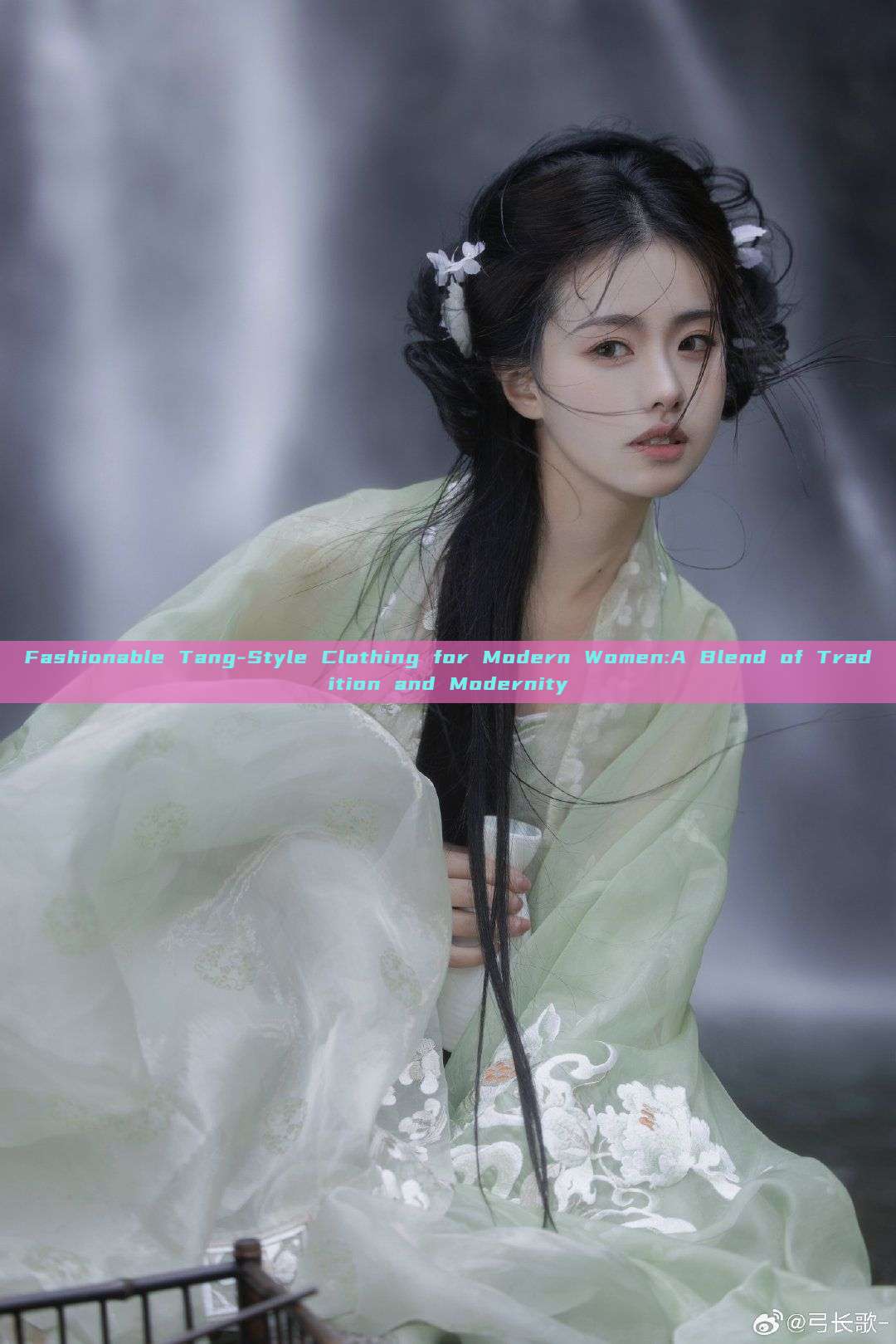 Fashionable Tang-Style Clothing for Modern Women:A Blend of Tradition and Modernity Fashionable Tang-Style Clothing for Modern Women:A Blend of Tradition and Modernity