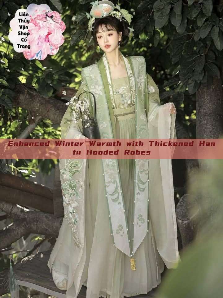 Enhanced Winter Warmth with Thickened Hanfu Hooded Robes Enhanced Winter Warmth with Thickened Hanfu Hooded Robes