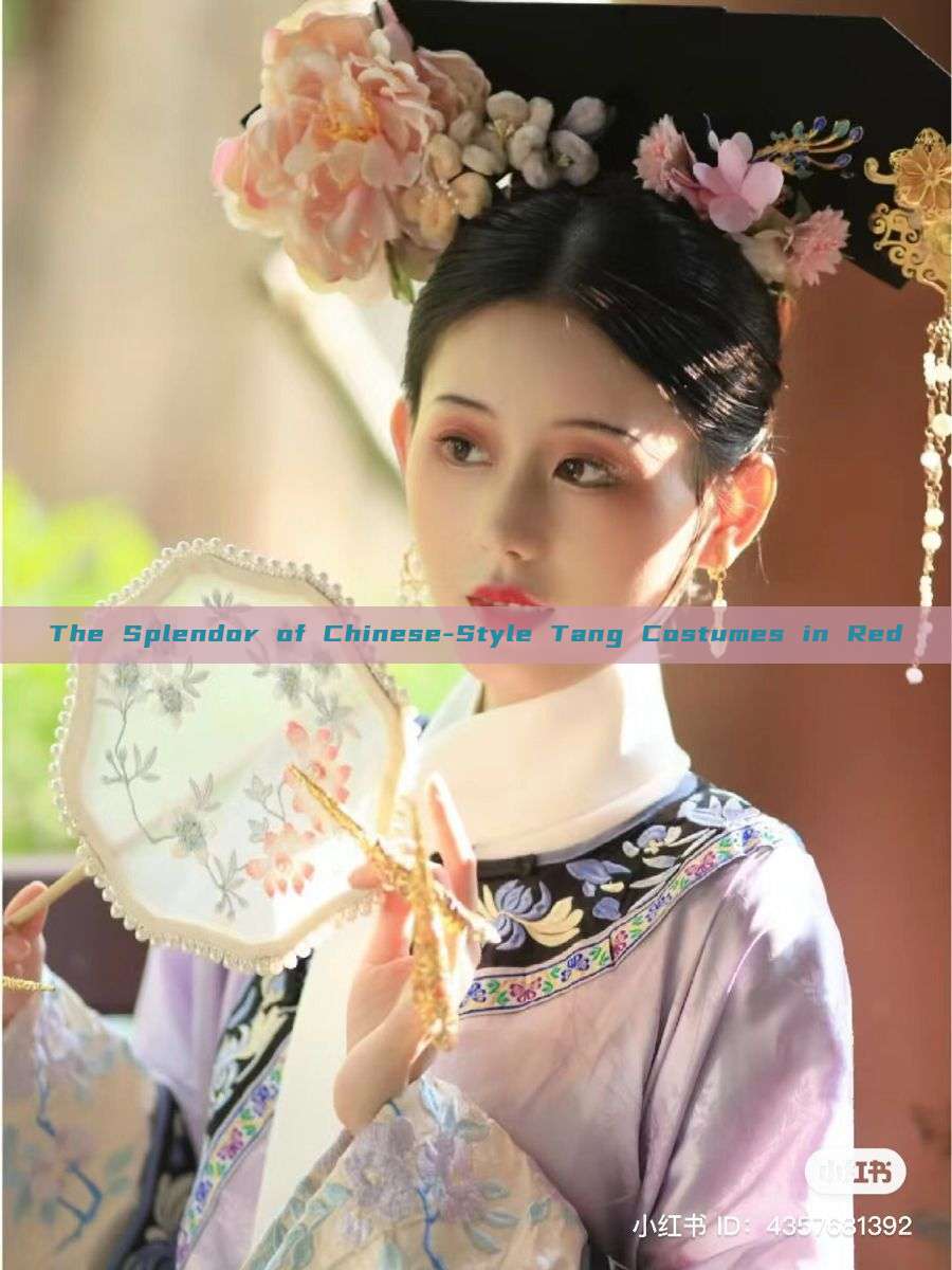 The Splendor of Chinese-Style Tang Costumes in Red The Splendor of Chinese-Style Tang Costumes in Red