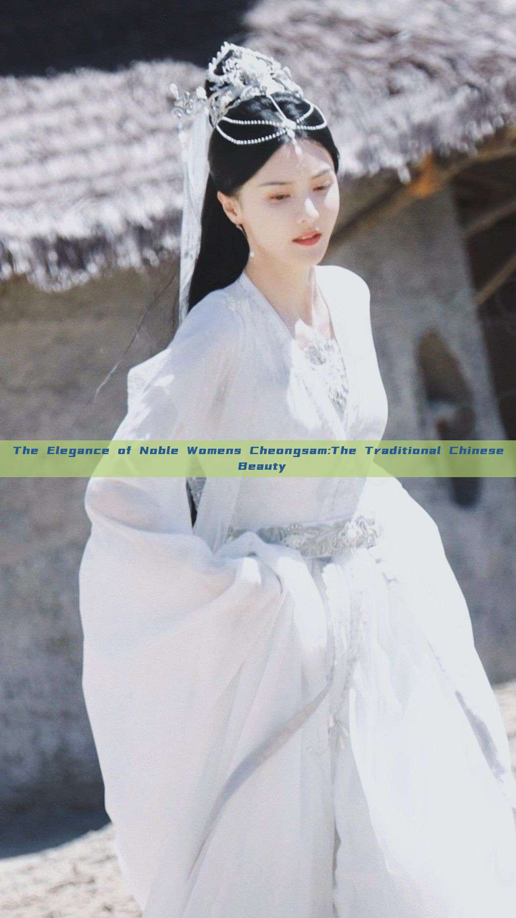 The Elegance of Noble Womens Cheongsam:The Traditional Chinese Beauty The Elegance of Noble Womens Cheongsam:The Traditional Chinese Beauty
