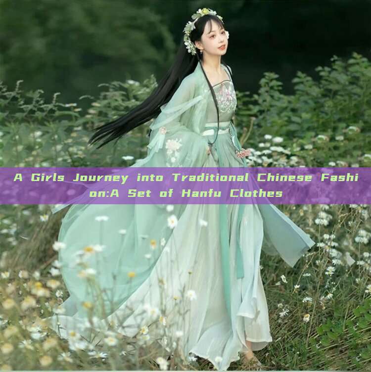 A Girls Journey into Traditional Chinese Fashion:A Set of Hanfu Clothes