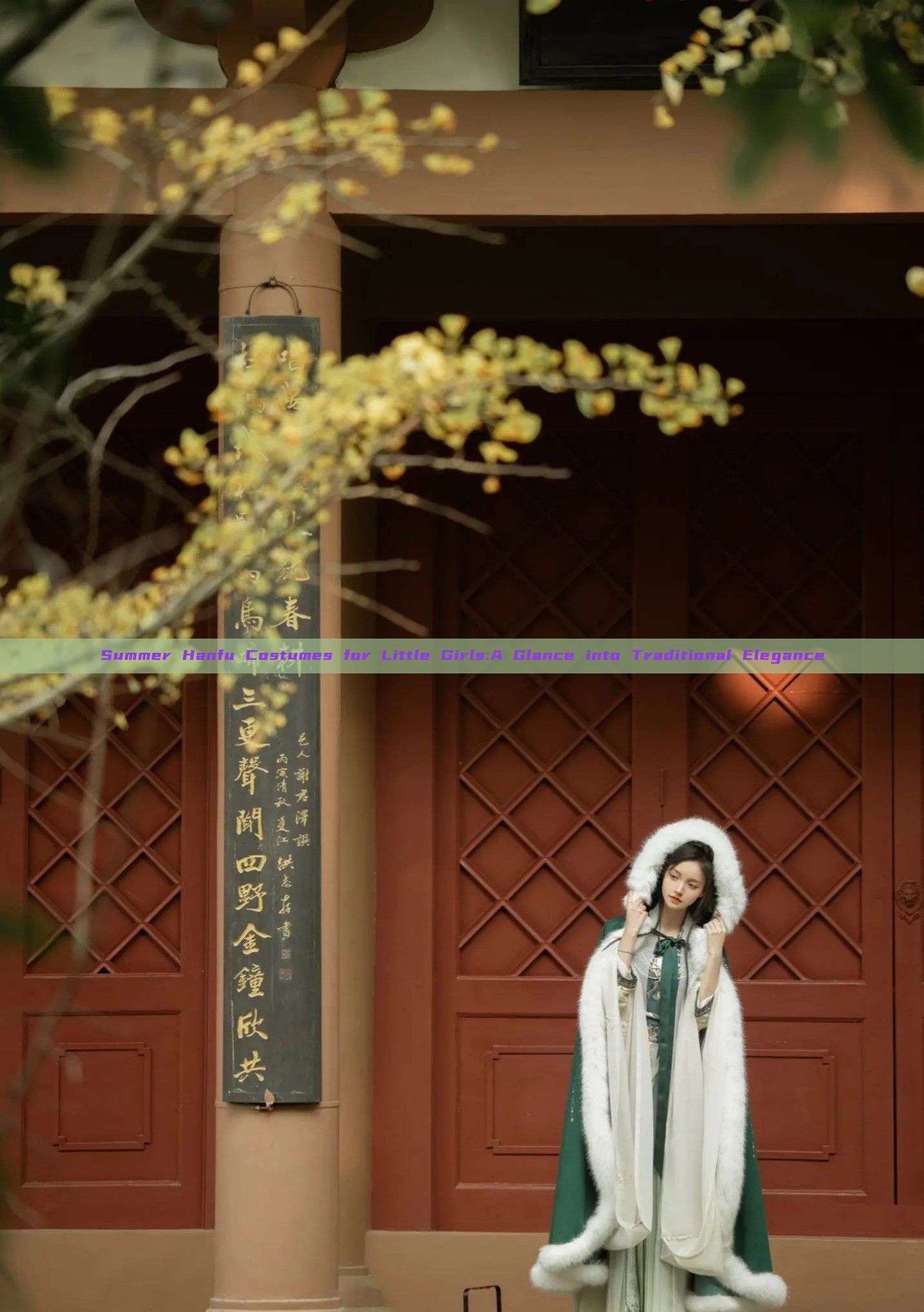 Summer Hanfu Costumes for Little Girls:A Glance into Traditional Elegance