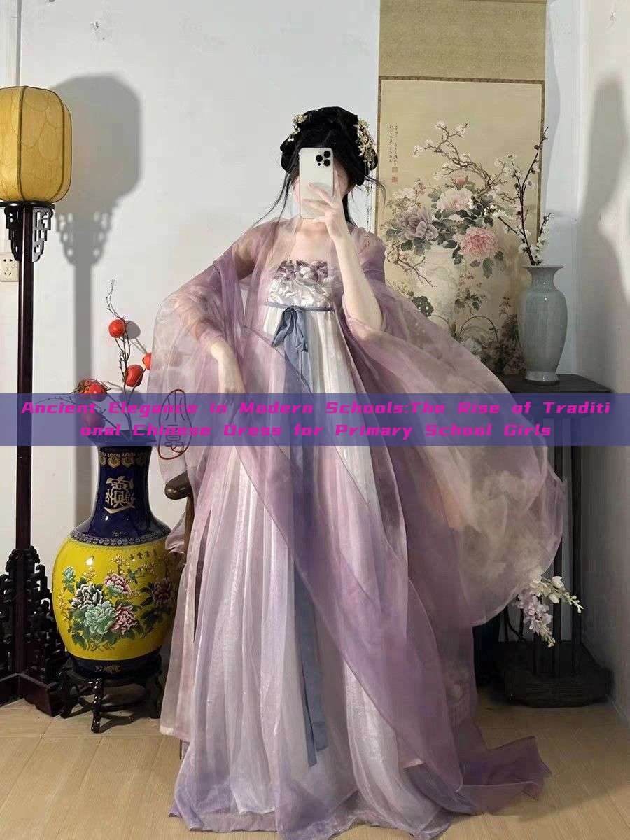 Ancient Elegance in Modern Schools:The Rise of Traditional Chinese Dress for Primary School Girls