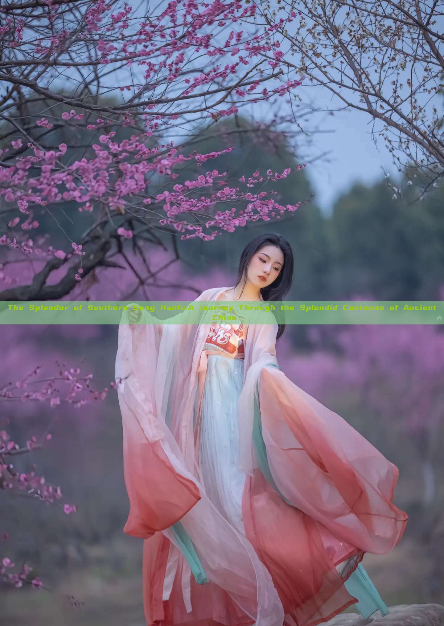 The Splendor of Southern Song Hanfu:A Journey Through the Splendid Costumes of Ancient China
