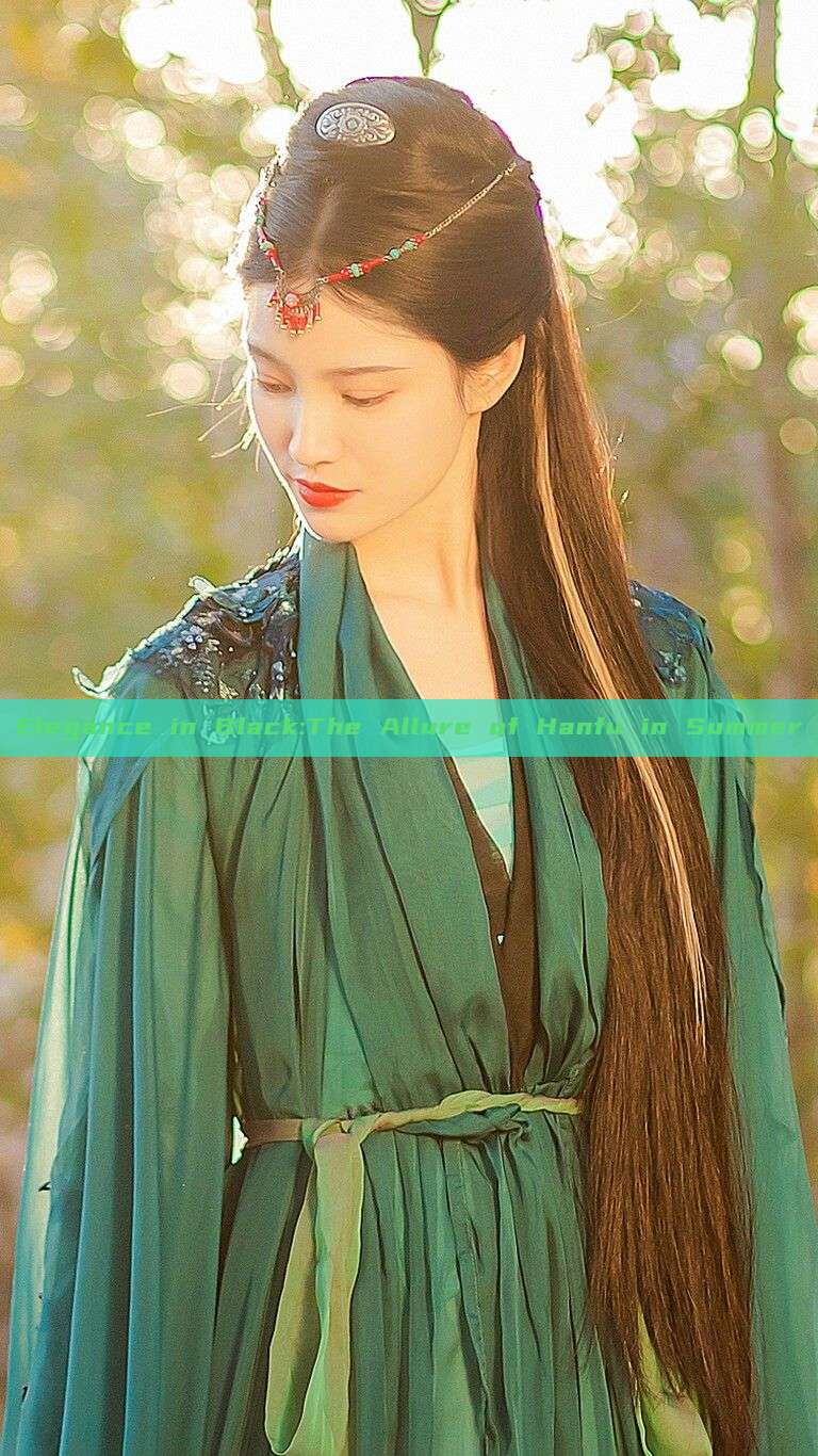 Elegance in Black:The Allure of Hanfu in Summer Elegance in Black:The Allure of Hanfu in Summer