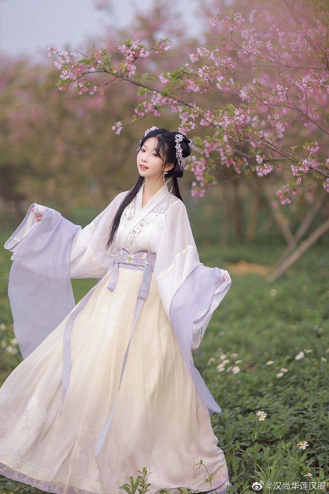 The Elegance of the Horseface Skirt in Qing Dynasty Fashion The Elegance of the Horseface Skirt in Qing Dynasty Fashion