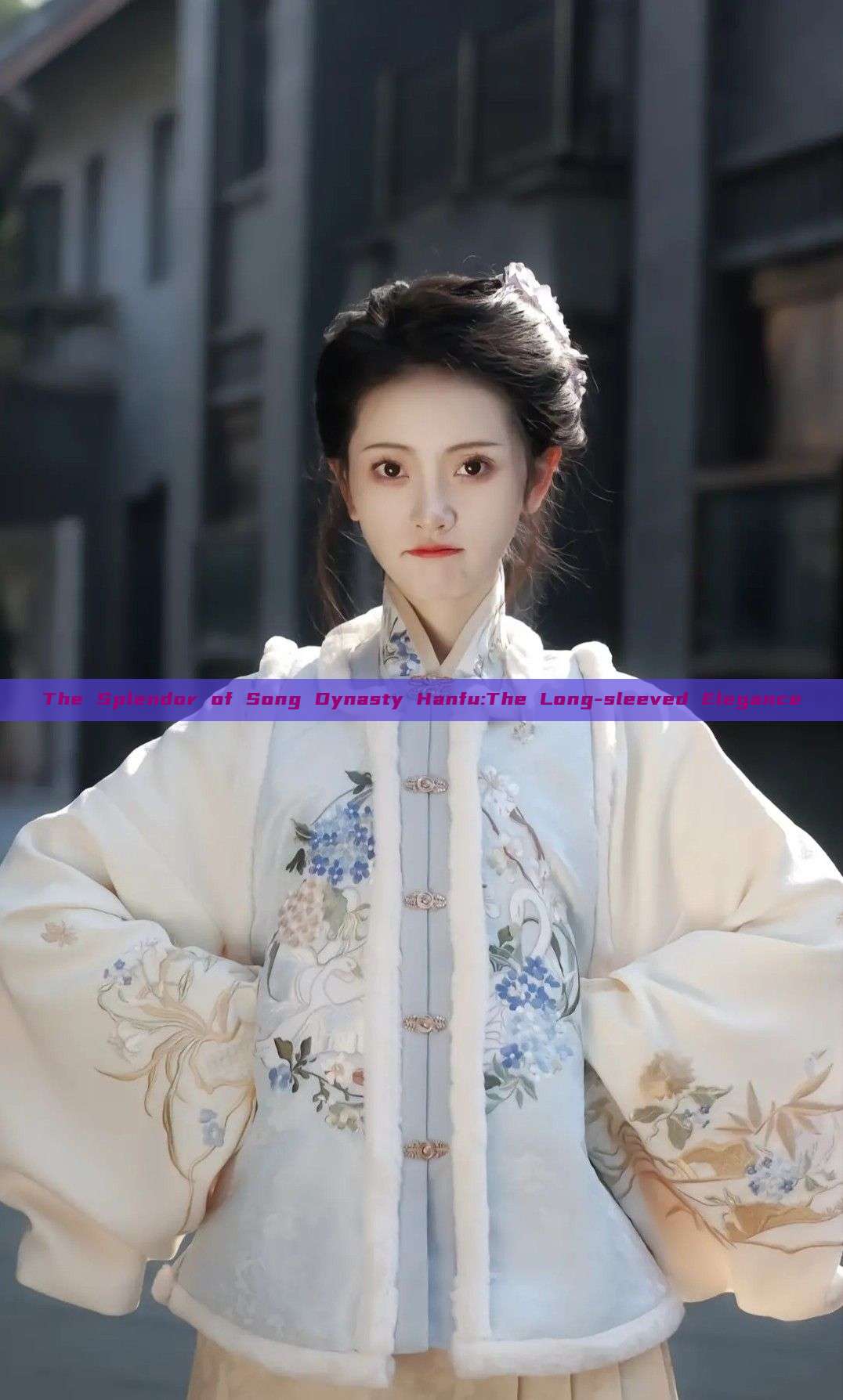 The Splendor of Song Dynasty Hanfu:The Long-sleeved Elegance