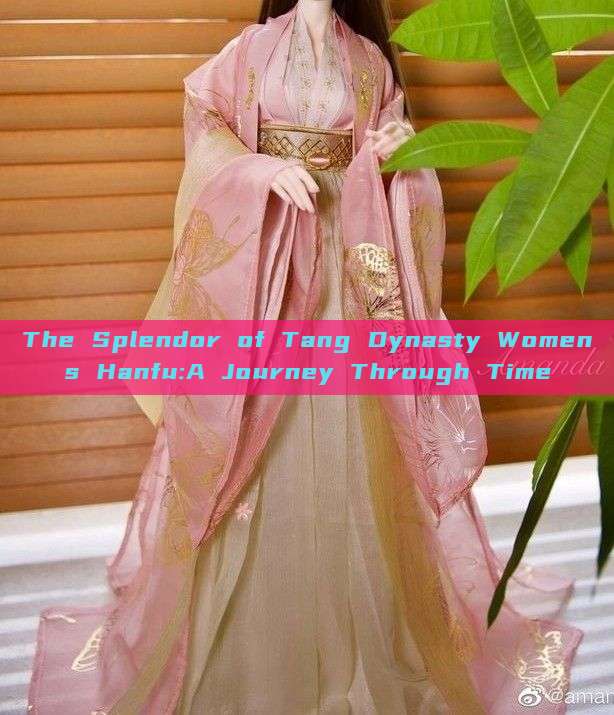 The Splendor of Tang Dynasty Womens Hanfu:A Journey Through Time