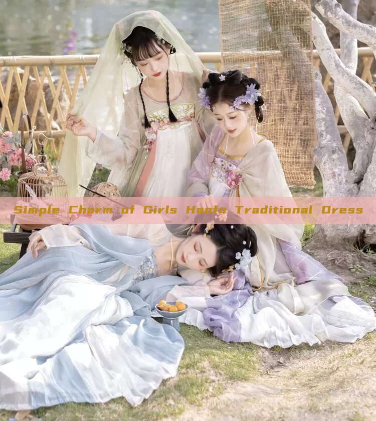 Simple Charm of Girls Hanfu Traditional Dress