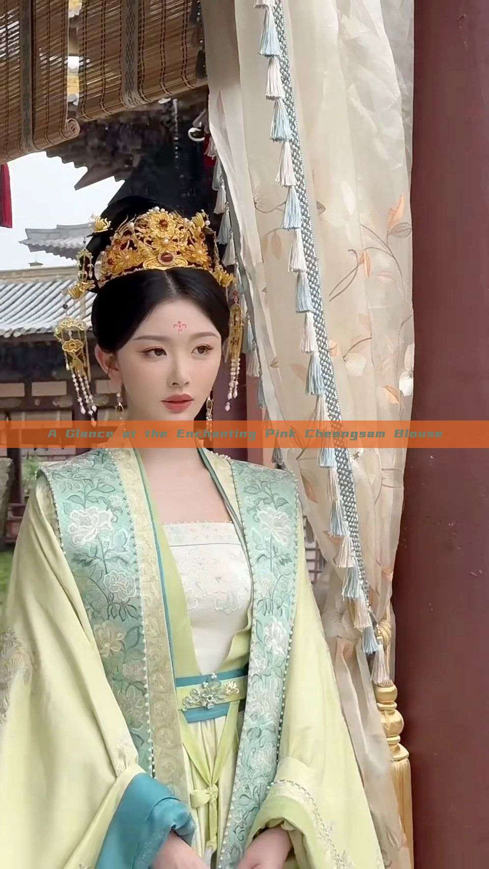 A Glance at the Enchanting Pink Cheongsam Blouse