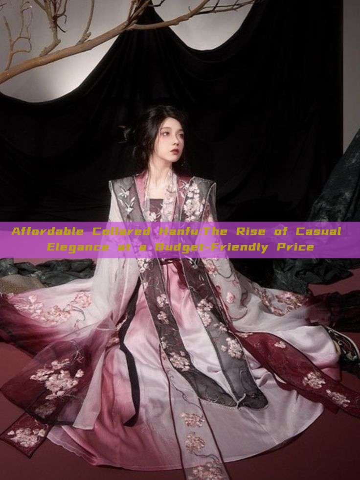 Affordable Collared Hanfu:The Rise of Casual Elegance at a Budget-Friendly Price Affordable Collared Hanfu:The Rise of Casual Elegance at a Budget-Friendly Price