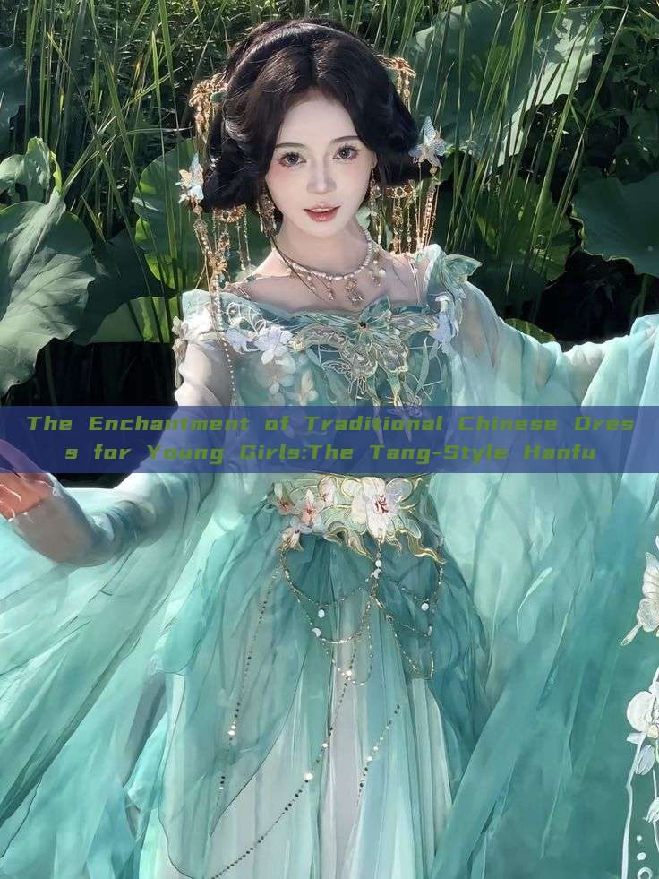The Enchantment of Traditional Chinese Dress for Young Girls:The Tang-Style Hanfu