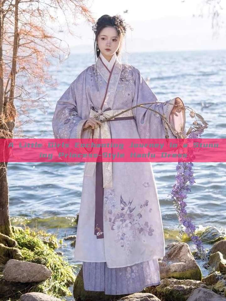A Little Girls Enchanting Journey in a Stunning Princess-Style Hanfu Dress A Little Girls Enchanting Journey in a Stunning Princess-Style Hanfu Dress