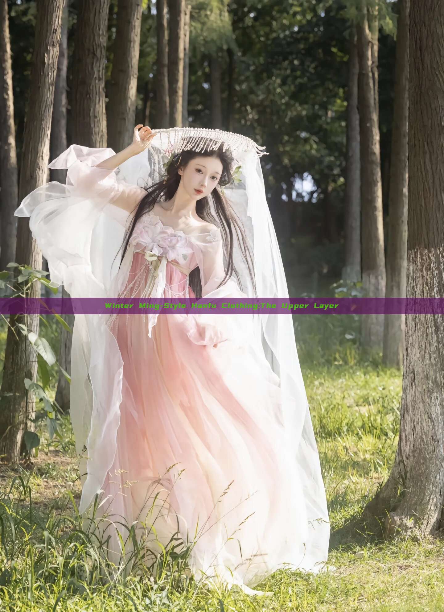 Winter Ming-Style Hanfu Clothing:The Upper Layer Winter Ming-Style Hanfu Clothing:The Upper Layer