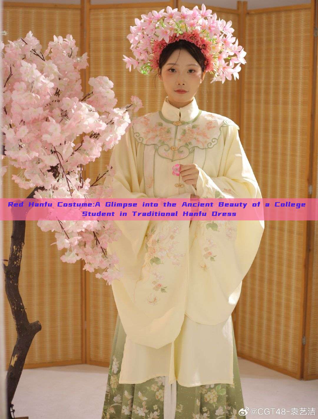 Red Hanfu Costume:A Glimpse into the Ancient Beauty of a College Student in Traditional Hanfu Dress Red Hanfu Costume:A Glimpse into the Ancient Beauty of a College Student in Traditional Hanfu Dress