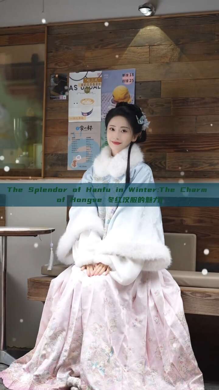 The Splendor of Hanfu in Winter:The Charm of Hongse 冬红汉服的魅力)
