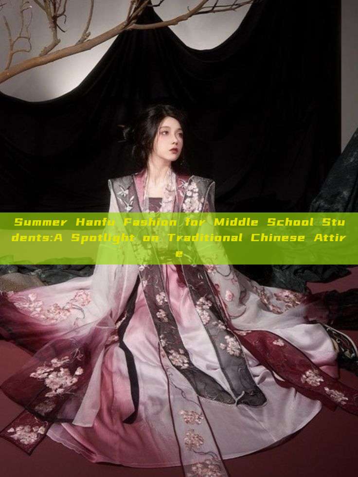 Summer Hanfu Fashion for Middle School Students:A Spotlight on Traditional Chinese Attire Summer Hanfu Fashion for Middle School Students:A Spotlight on Traditional Chinese Attire