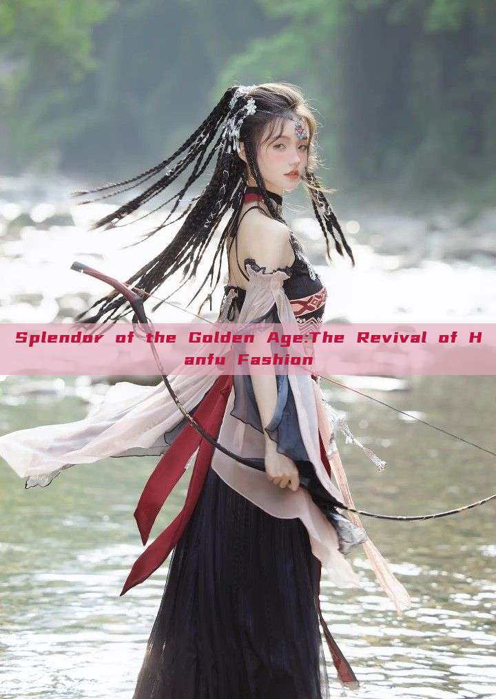 Splendor of the Golden Age:The Revival of Hanfu Fashion Splendor of the Golden Age:The Revival of Hanfu Fashion