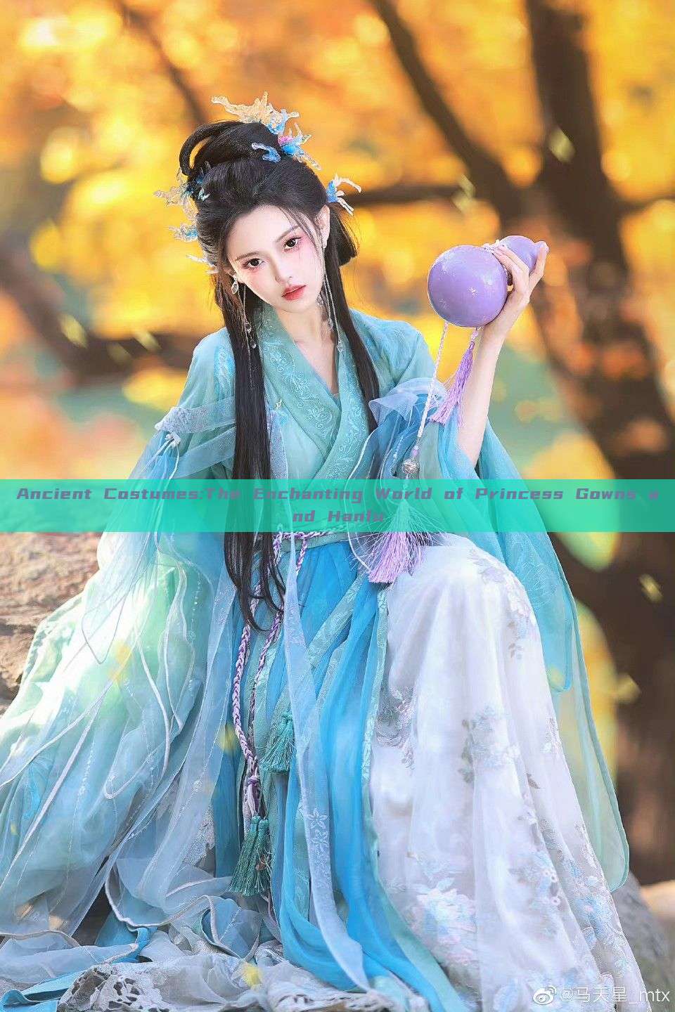 Ancient Costumes:The Enchanting World of Princess Gowns and Hanfu Ancient Costumes:The Enchanting World of Princess Gowns and Hanfu