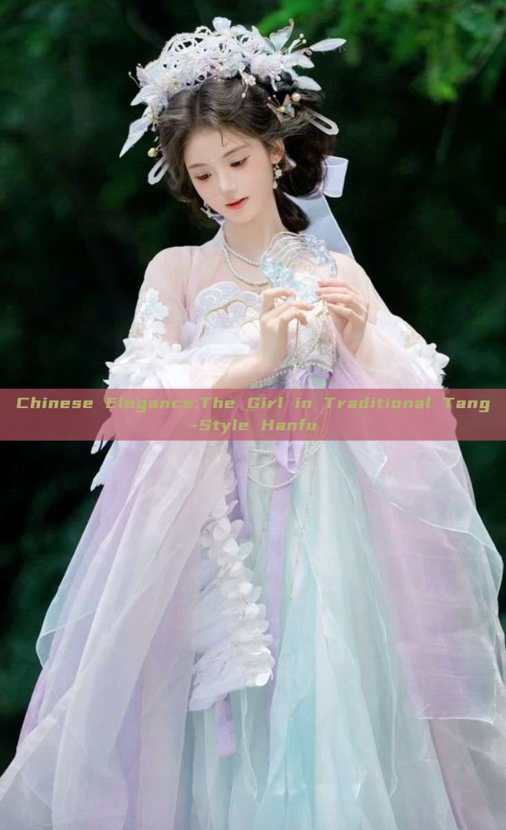 Chinese Elegance:The Girl in Traditional Tang-Style Hanfu Chinese Elegance:The Girl in Traditional Tang-Style Hanfu