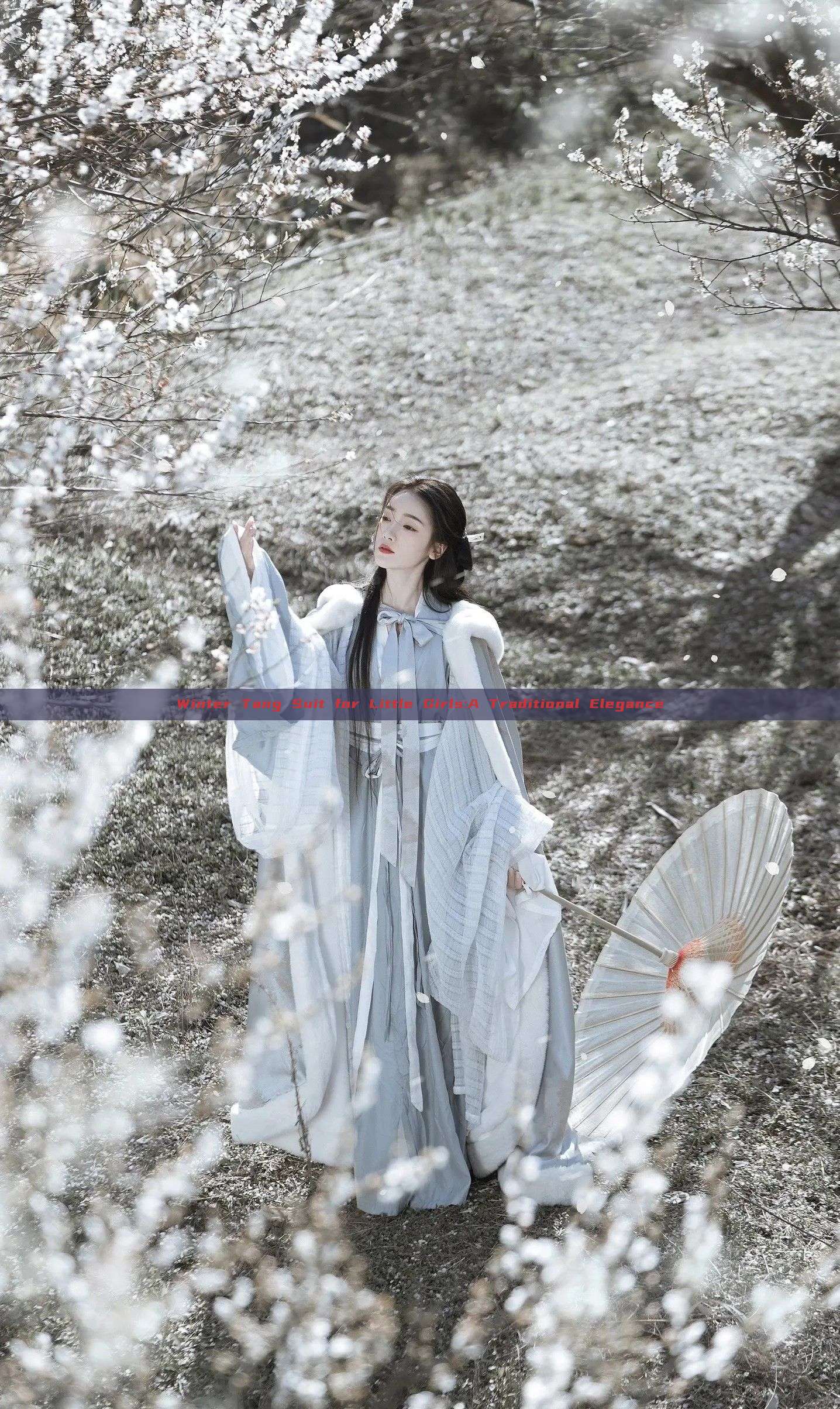 Winter Tang Suit for Little Girls:A Traditional Elegance