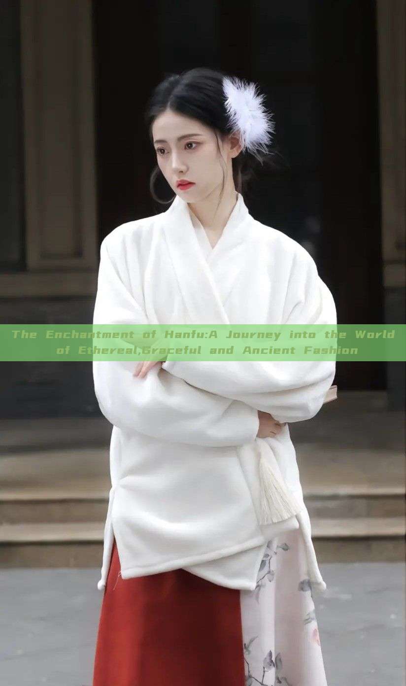 The Enchantment of Hanfu:A Journey into the World of Ethereal,Graceful and Ancient Fashion The Enchantment of Hanfu:A Journey into the World of Ethereal,Graceful and Ancient Fashion