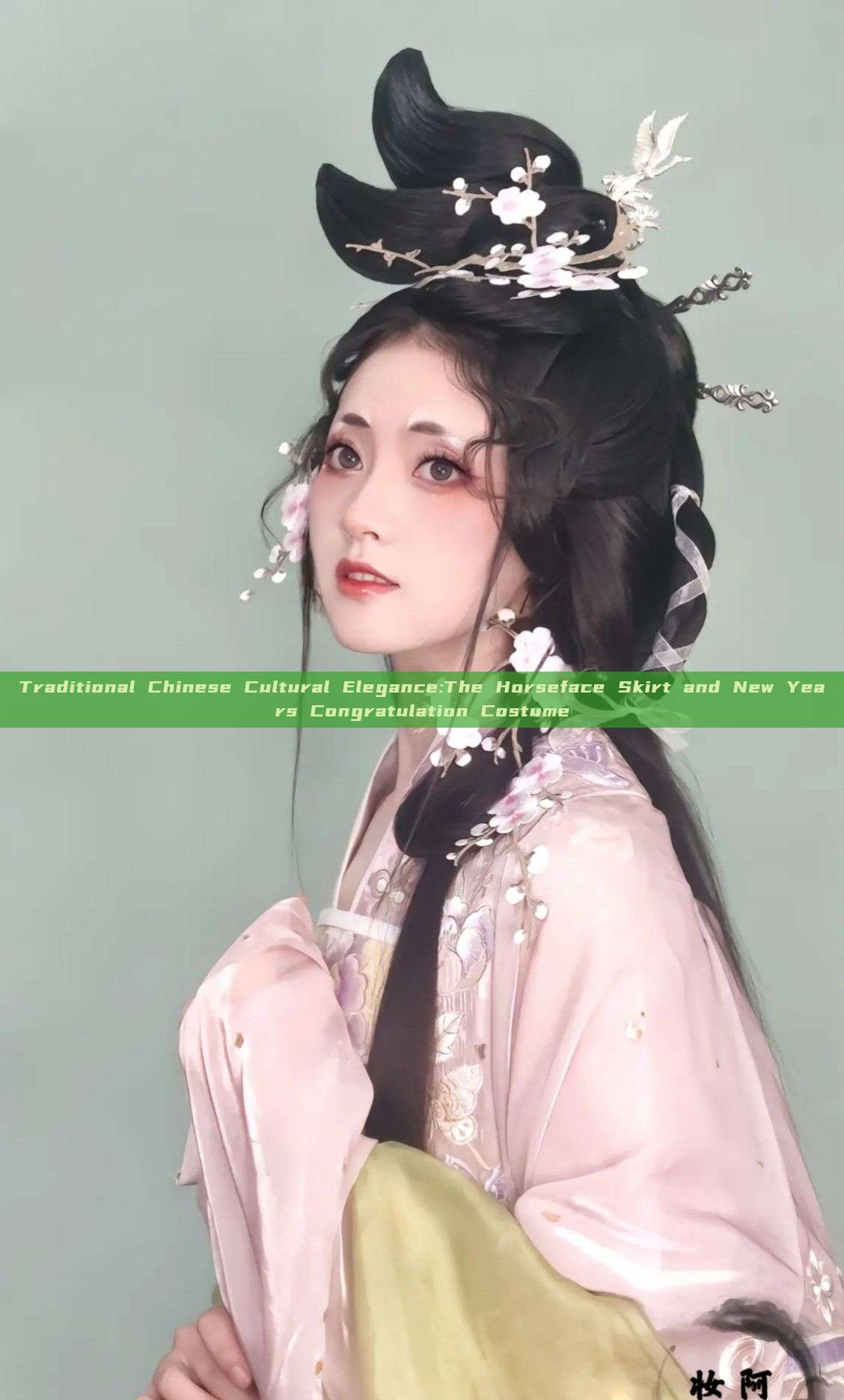 Traditional Chinese Cultural Elegance:The Horseface Skirt and New Years Congratulation Costume Traditional Chinese Cultural Elegance:The Horseface Skirt and New Years Congratulation Costume
