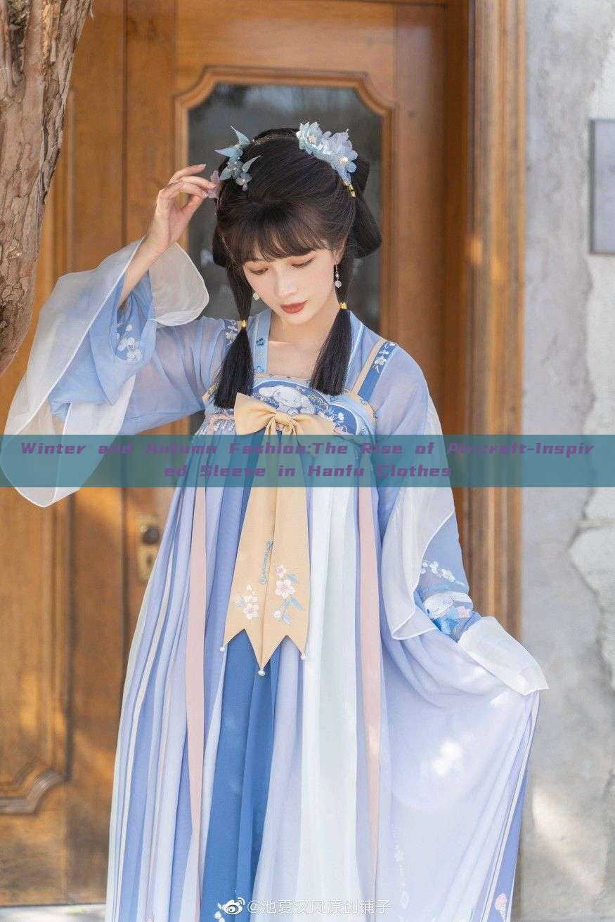 Winter and Autumn Fashion:The Rise of Aircraft-Inspired Sleeve in Hanfu Clothes Winter and Autumn Fashion:The Rise of Aircraft-Inspired Sleeve in Hanfu Clothes