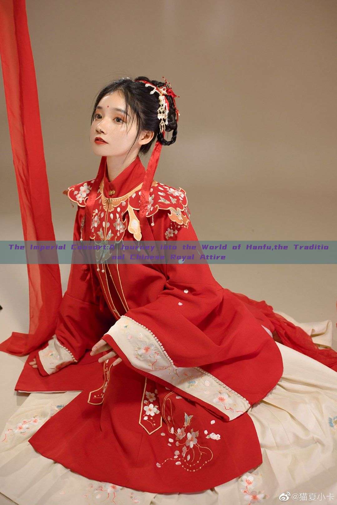 The Imperial Consort:A Journey into the World of Hanfu,the Traditional Chinese Royal Attire