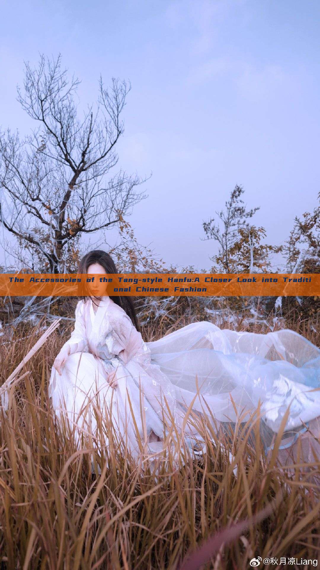 The Accessories of the Tang-style Hanfu:A Closer Look into Traditional Chinese Fashion The Accessories of the Tang-style Hanfu:A Closer Look into Traditional Chinese Fashion