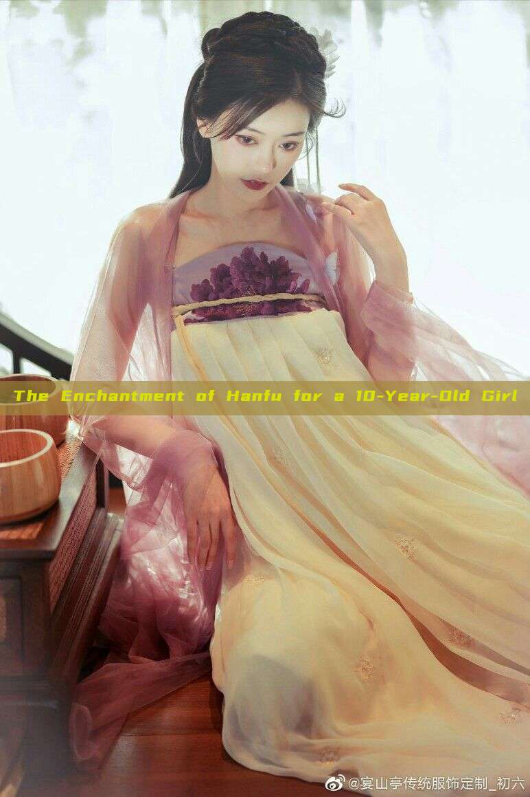 The Enchantment of Hanfu for a 10-Year-Old Girl The Enchantment of Hanfu for a 10-Year-Old Girl