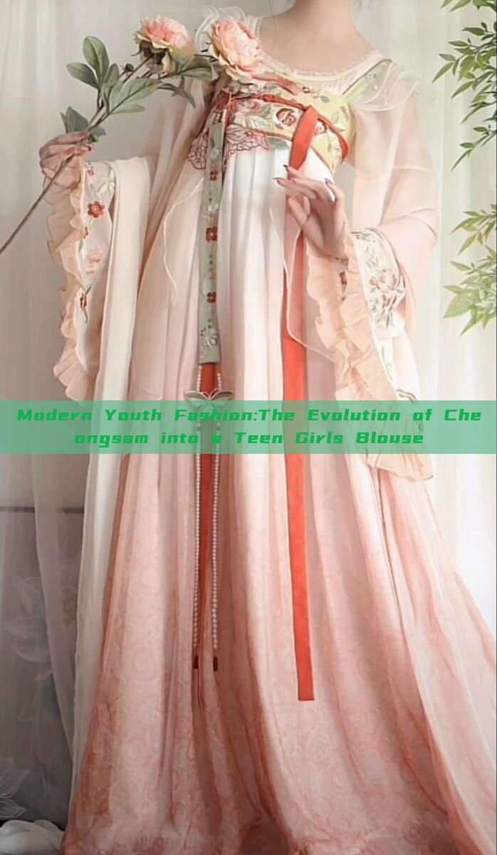 Modern Youth Fashion:The Evolution of Cheongsam into a Teen Girls Blouse Modern Youth Fashion:The Evolution of Cheongsam into a Teen Girls Blouse