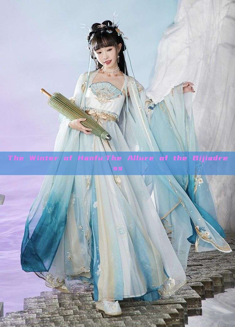 The Winter of Hanfu:The Allure of the Bijiadress The Winter of Hanfu:The Allure of the Bijiadress