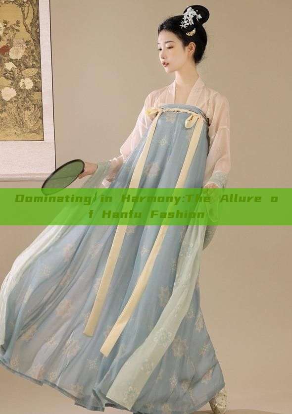 Dominating in Harmony:The Allure of Hanfu Fashion Dominating in Harmony:The Allure of Hanfu Fashion