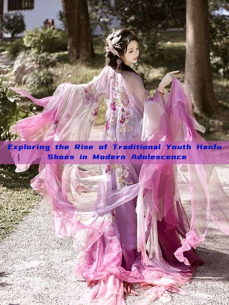 Exploring the Rise of Traditional Youth Hanfu Shoes in Modern Adolescence Exploring the Rise of Traditional Youth Hanfu Shoes in Modern Adolescence