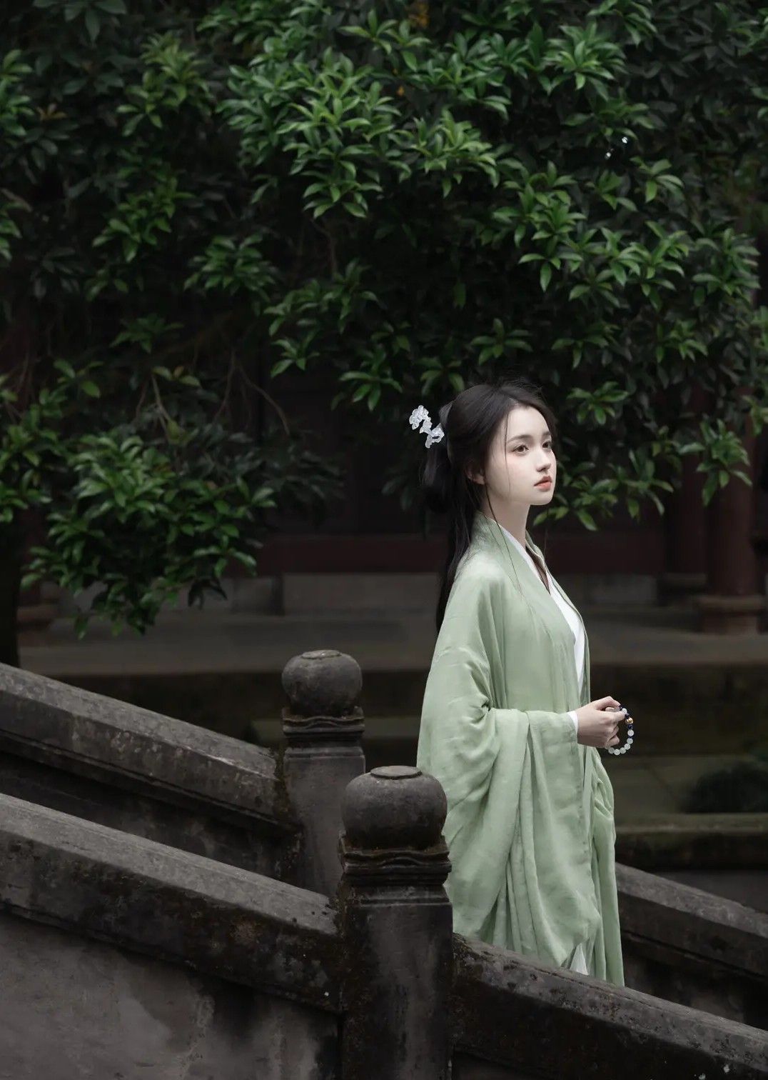 Ink-Colored Skirt with Horseface Pattern:A Blend of Traditional Chinese Elegance and Modern Fashion