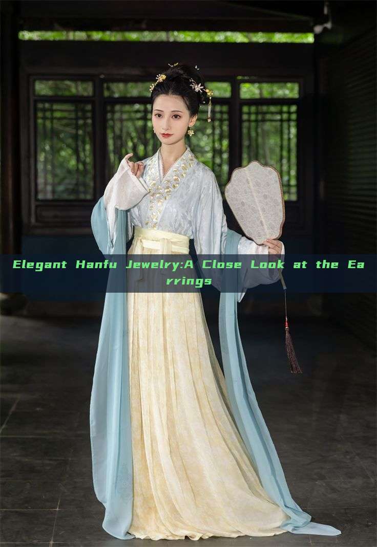 Elegant Hanfu Jewelry:A Close Look at the Earrings
