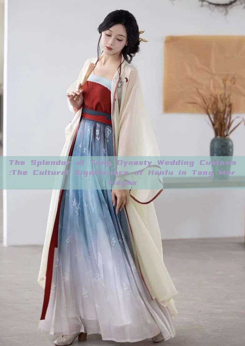 The Splendor of Tang Dynasty Wedding Customs:The Cultural Significance of Hanfu in Tang Marriages